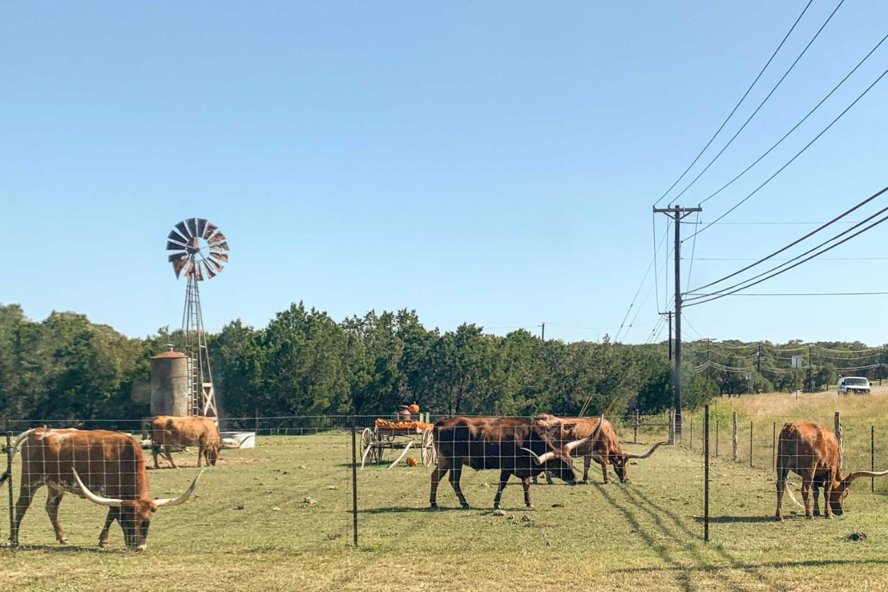 Family Friendly Hill Country Home 13 Mi To Lake! ニューブラウンフェルズ エクステリア 写真